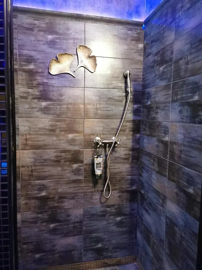 Wellness Stodolni Ostrava Apartment